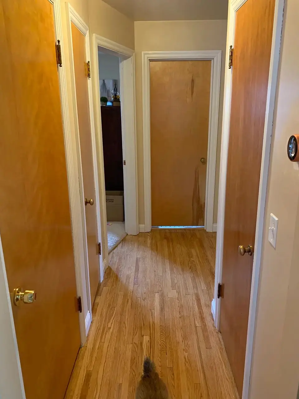 Before Hallway