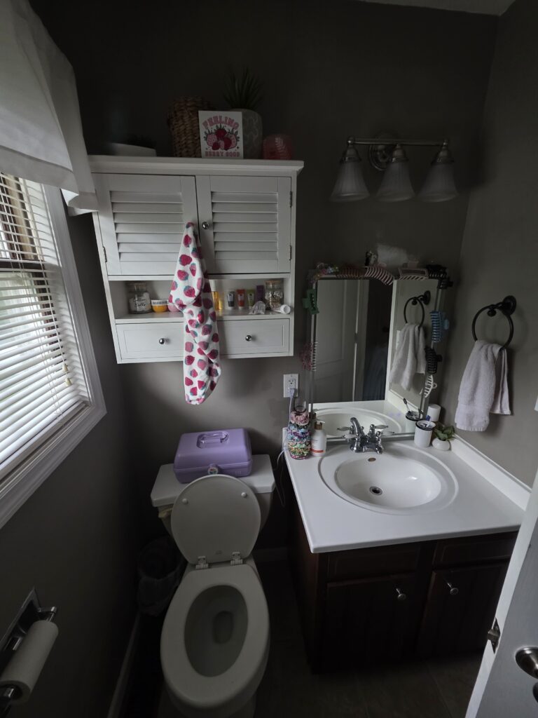 Before bathroom remodel in Wadesville Indiana showing outdated vanity, lighting, and layout